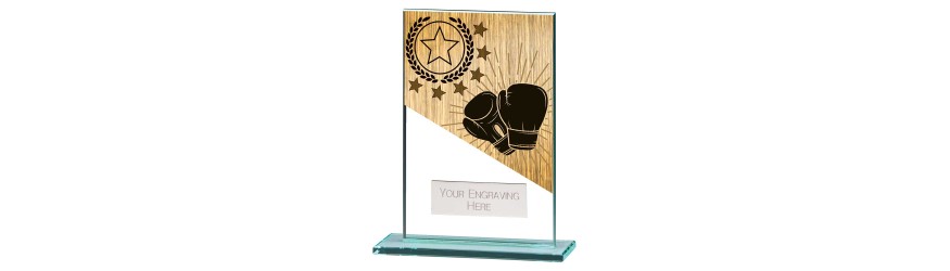MUSTANG BOXING GLASS TROPHY - 5 SIZES - 11CM - 18CM MUSTANG BOXING GLASS TROPHY - 5 SIZES - 11CM - 18CM